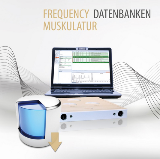 Frequency Datenbanken Muskulatur
