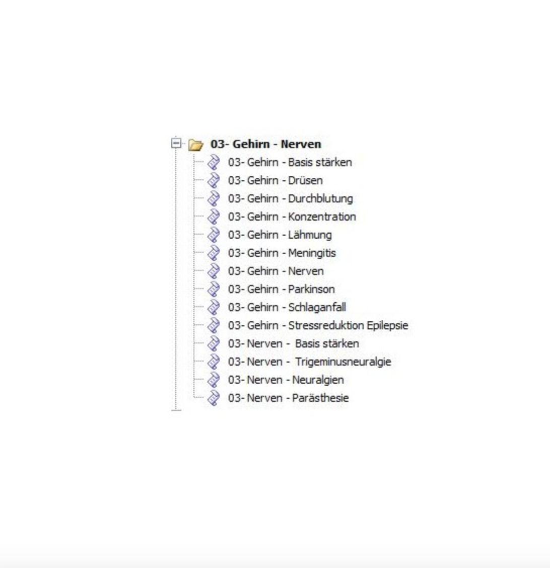 Frequency Datenbanken Gehirn – Nerven