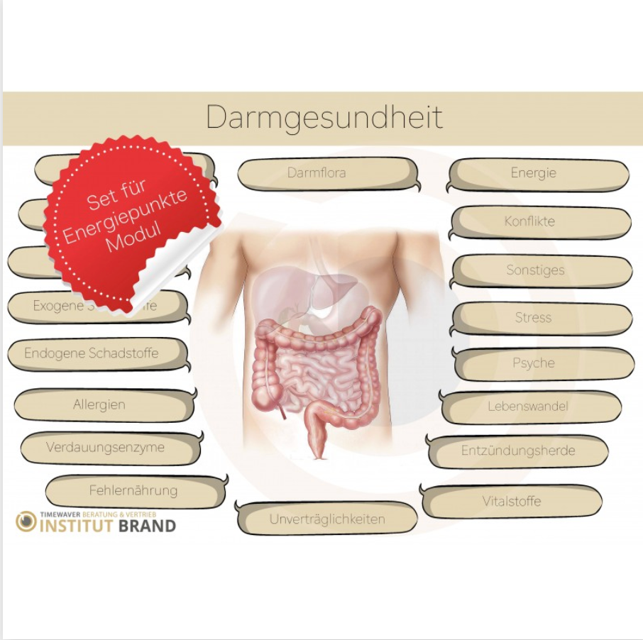 Energy Point Module Set - Gut Health
