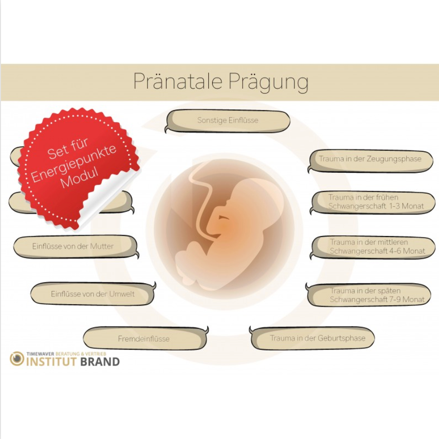 Energy Point Module Set - Prenatal Imprinting