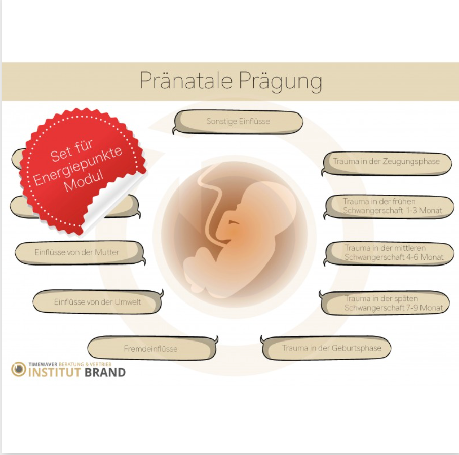 Energy Point Module Set - Prenatal Imprinting